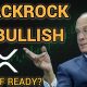 BlackRock CEO "Very Bullish!" XRP ETF Ready?