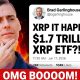 XRP IT JUST HAPPENED OMG... (XRP $1.9 TRILLION ETF??)