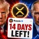 XRP JUST IN! RUSSIA TAKING DOWN THE USA?!! ONLY 14 DAYS TO FIGHT BACK!