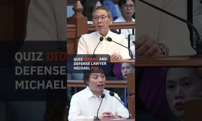 Diokno steers prosecution to major win on Duterte financial records