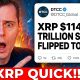 THE DTCC JUST FLIPPED THE SWITCH ON XRP TODAY!!!! ($114 TRILLION)