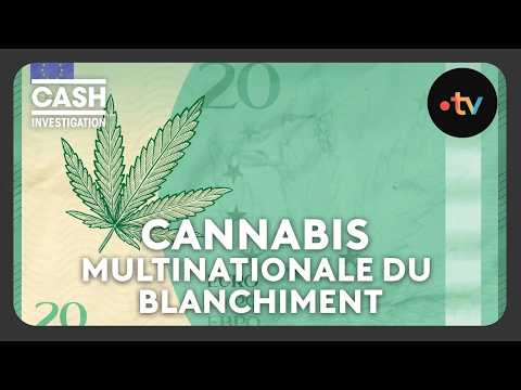 Cannabis, la multinationale du blanchiment - Cash investigation