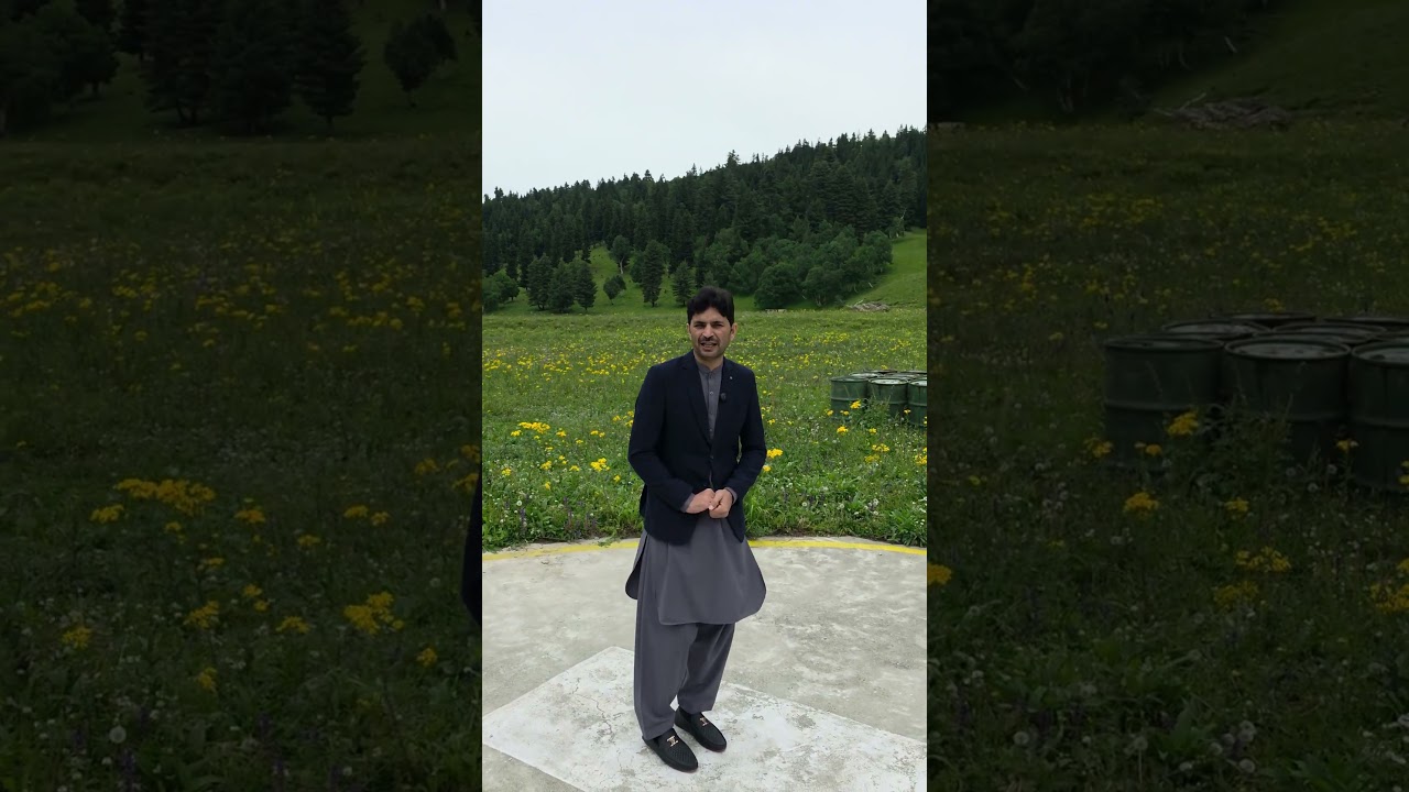 Crypto Trading signals and service providers in Pakistan, India and Asia ! Tani Forex review in Urdu