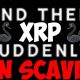 Ripple XRP DAVID SCHWARTZ CONFIRMED 589 A MYSTERIOUS DEOCDED TIMELINE EXPOSED!