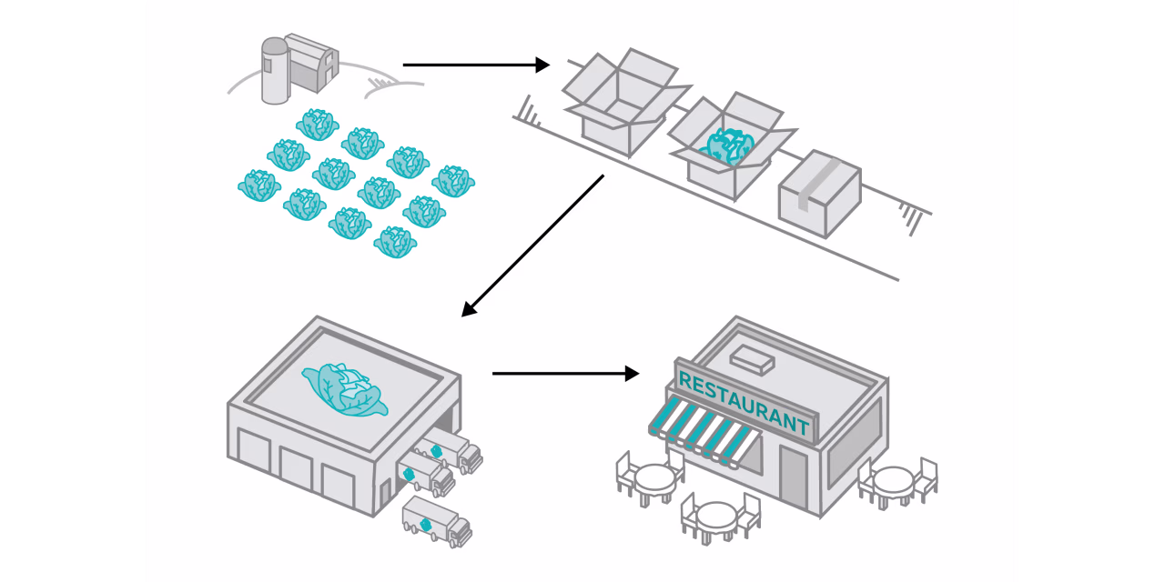 How 10 Billion Pounds of Lettuce Travel From Farms to Dinner Plates