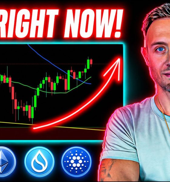 The CRYPTO BULL REVERSAL Setting Up! (WARNING For Bitcoin, Ethereum, Altcoins)