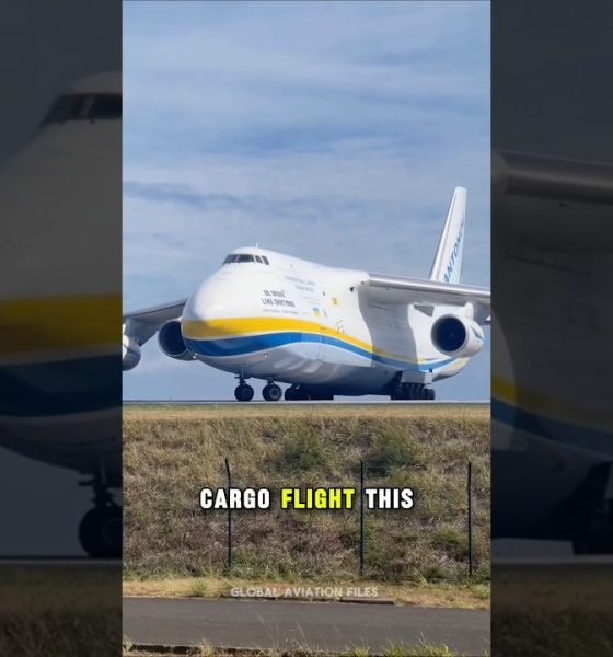 How much to fly the world's biggest plane? #antonov #aviation #money