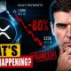I track XRP's recent on chain data... we have a problem