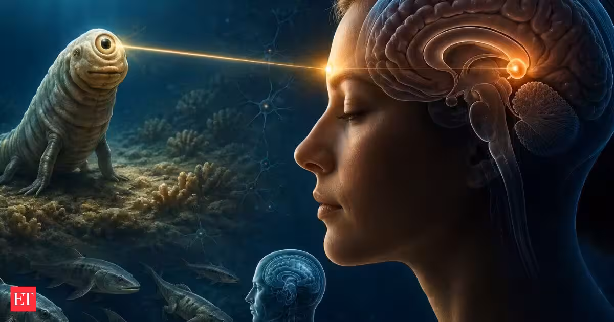 Humans have a 'third eye' in the brain: Study links it to a 600-million-year-old Cyclops ancestor