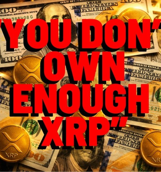 "XRP IS READY" For HUGE Price Surge, Popular Analyst Declares -Report