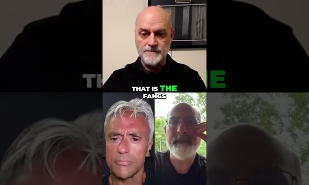 Financial Collapse: The Illusion Propping Up The Markets #shorts