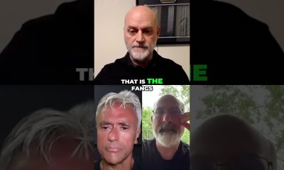 Financial Collapse: The Illusion Propping Up The Markets #shorts