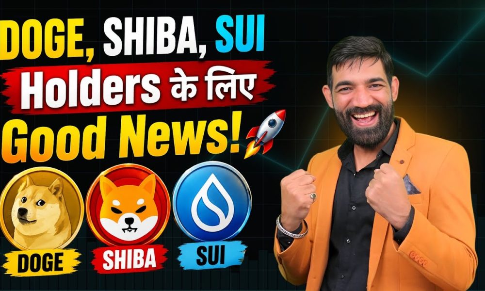 DogeCoin, Shiba Inu, Sui Coin latest News Today | Meme coins latest News Today