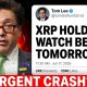 MAJOR XRP WARNING WATCH BEFORE TOMORROW!!! (XRP CRASH??! PLEASE!)