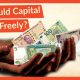 Why Financial Globalization is Dangerous