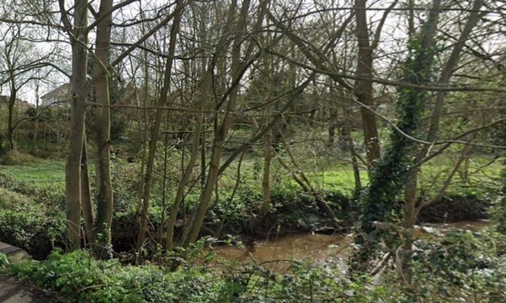 York- Tang Hall Beck St Nicks biodiversity works approved