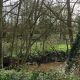 York- Tang Hall Beck St Nicks biodiversity works approved