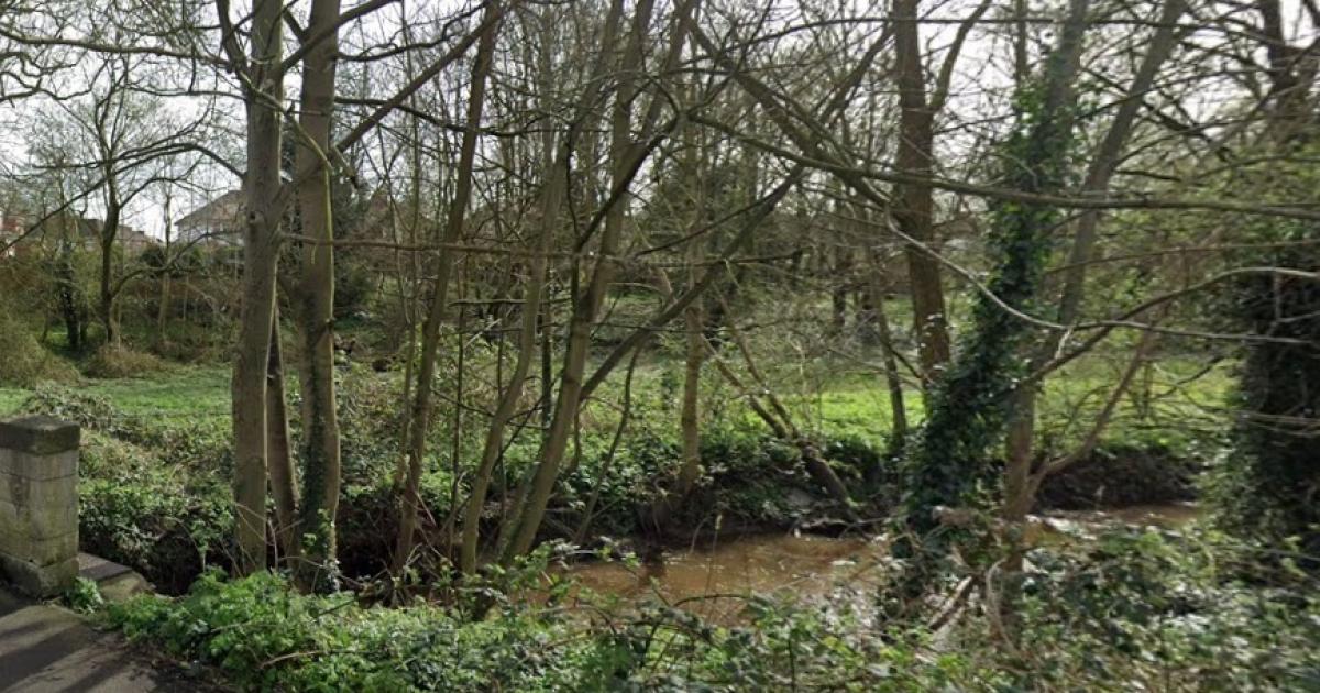York- Tang Hall Beck St Nicks biodiversity works approved