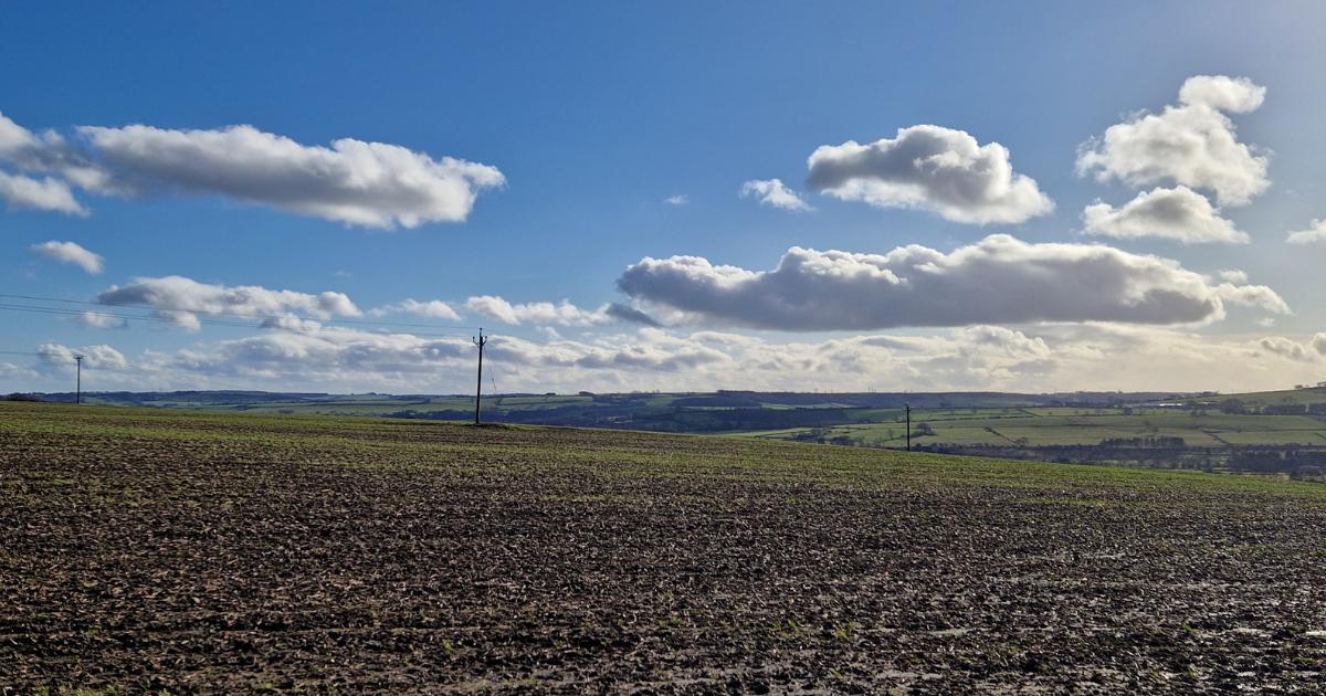 Greencroft Forest Park appeal dismissed by High Court
