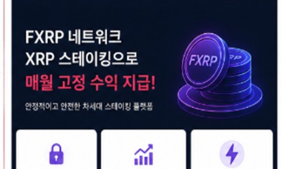 Fake XRP Staking Scheme Stole $19 Million From 71 Investors in South Korea. Source: mk.co.kr