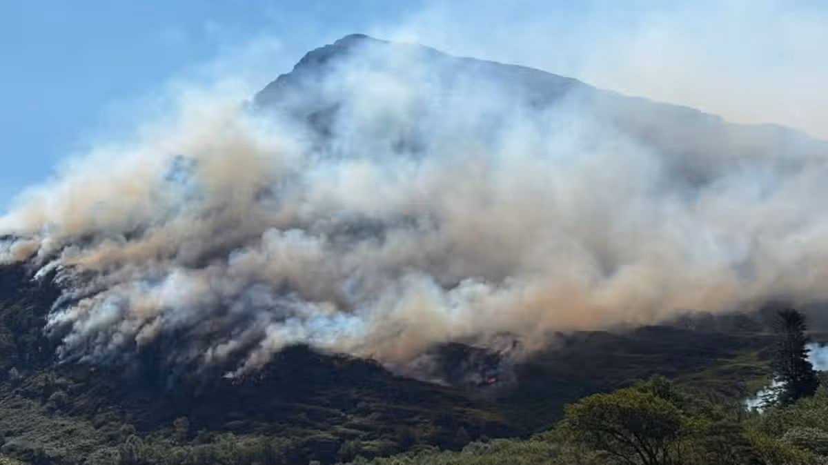 Wales Online