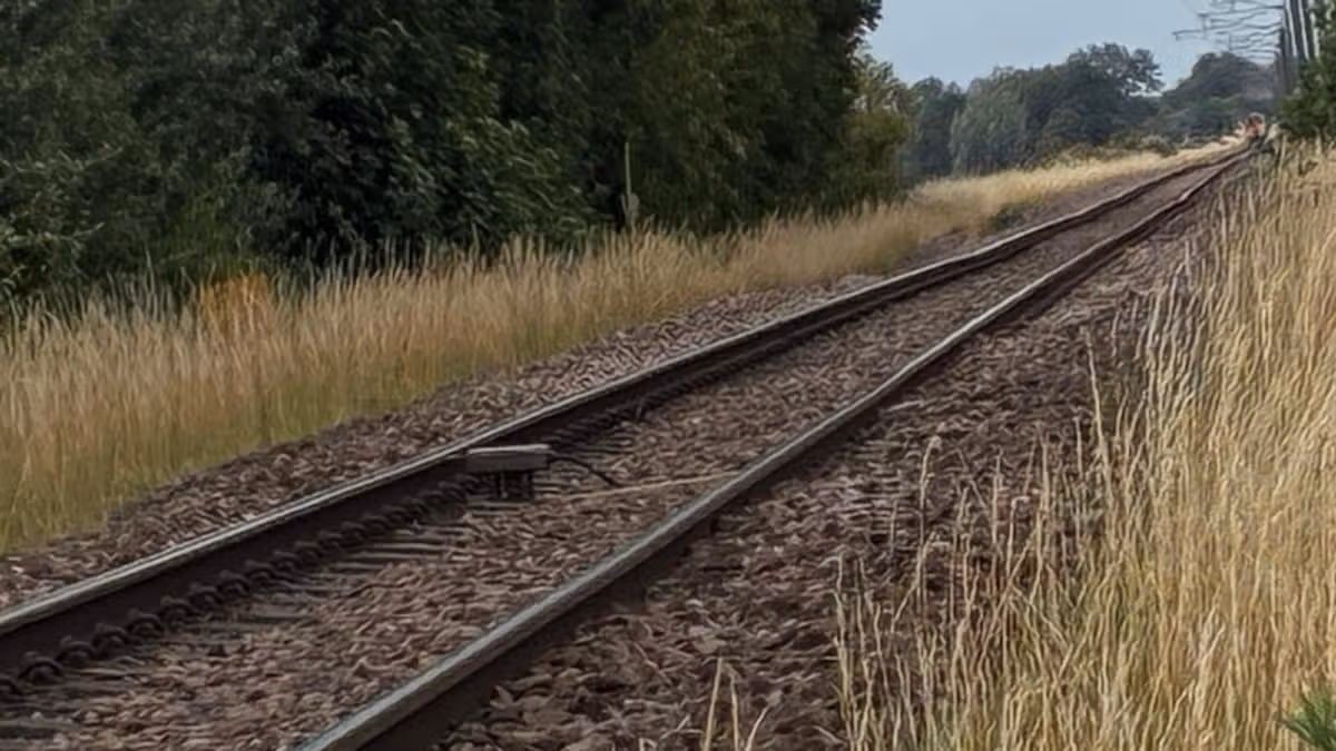 Cambridgeshire Live