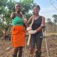 How a farming project in Sierra Leone helps amputees rebuild lives
