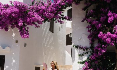 The Resort Souvenir Mood - Julia Berolzheimer