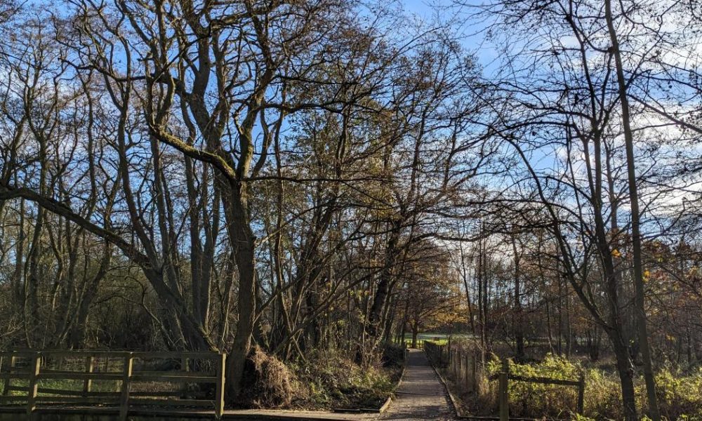 York’s Askham Bog reopens after makeover as it turns 80