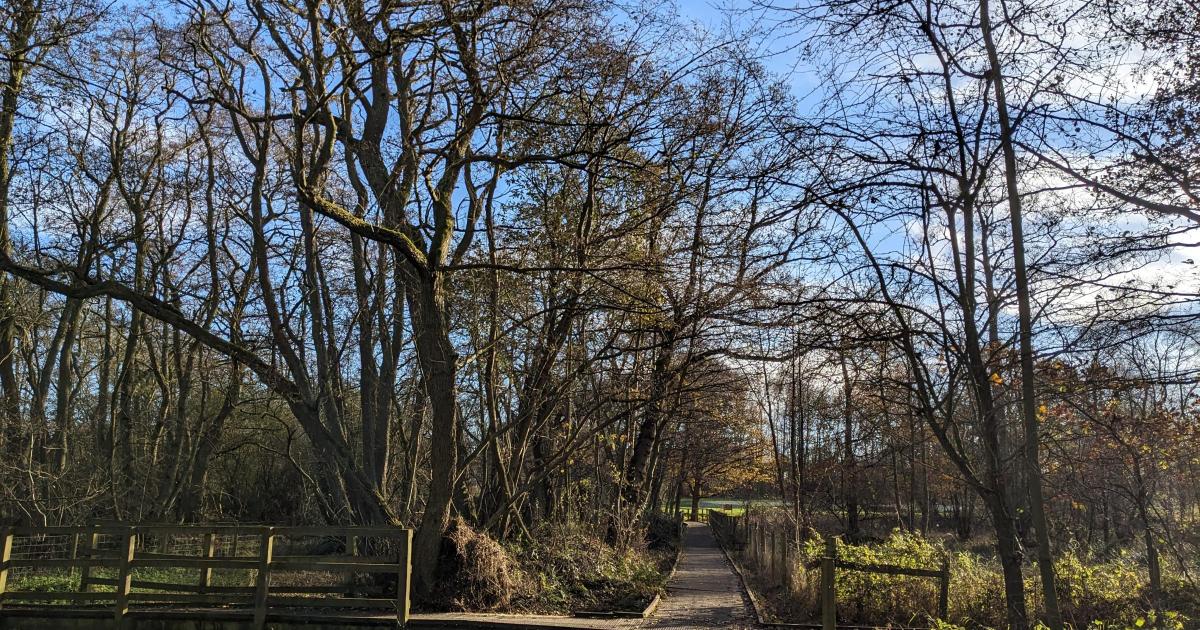 York’s Askham Bog reopens after makeover as it turns 80