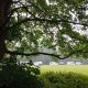 Bolton Council discloses bill for moving on Travellers from its land