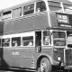 OK, Blue Belle and Lockeys buses from Bishop Auckland