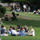 Met Office yellow heat warning in York and North Yorkshire