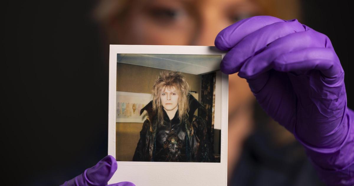 David Bowie archive V&A tour comes to East Yorkshire
