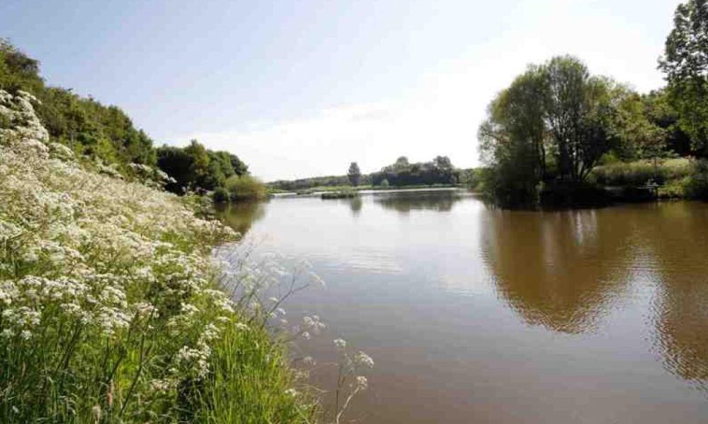 Warning issued for potential toxic algae in Hemlington Lake