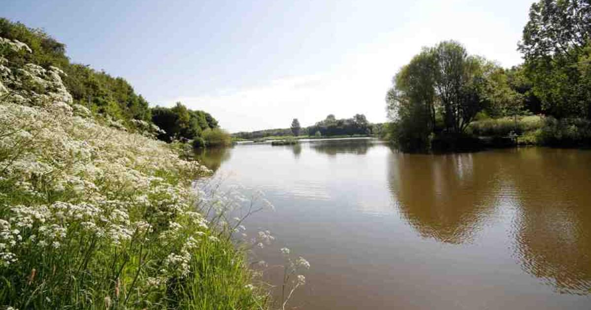 Warning issued for potential toxic algae in Hemlington Lake