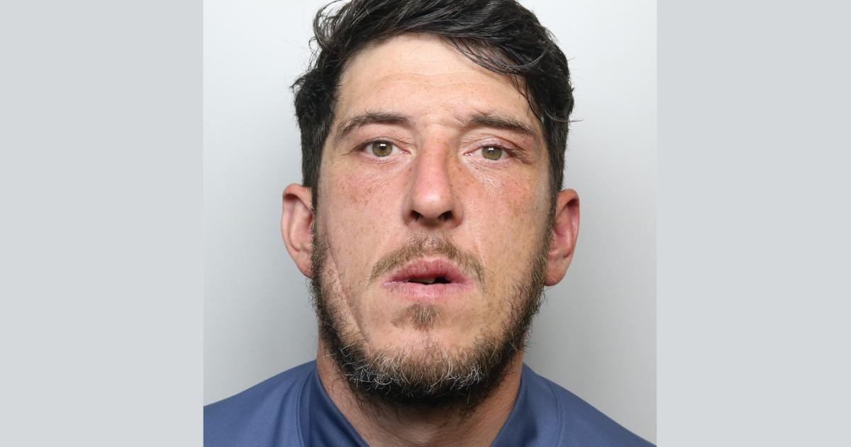 York stabbing victim jailed for shop thefts and assaults