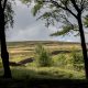 National Trust reveals 'leaky dams' plan for Holcombe Moor