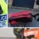Makita tools and chainsaw stolen from shed in Holgate, York