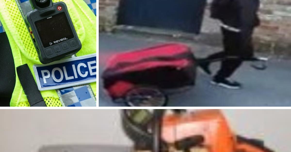 Makita tools and chainsaw stolen from shed in Holgate, York