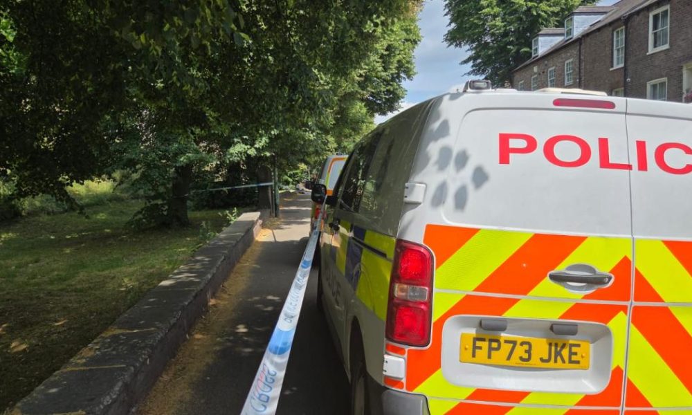 30s woman is found by York city walls with head injury