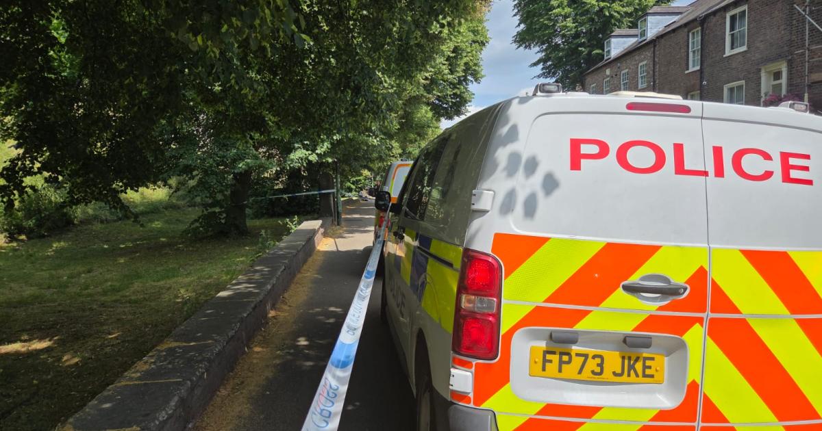30s woman is found by York city walls with head injury