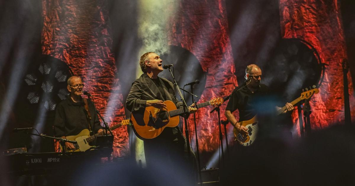 Scarborough - David Gray and The Divine Comedy on same stage