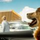 Dog locked in a hot car? Here's what the RSPCA says you should do