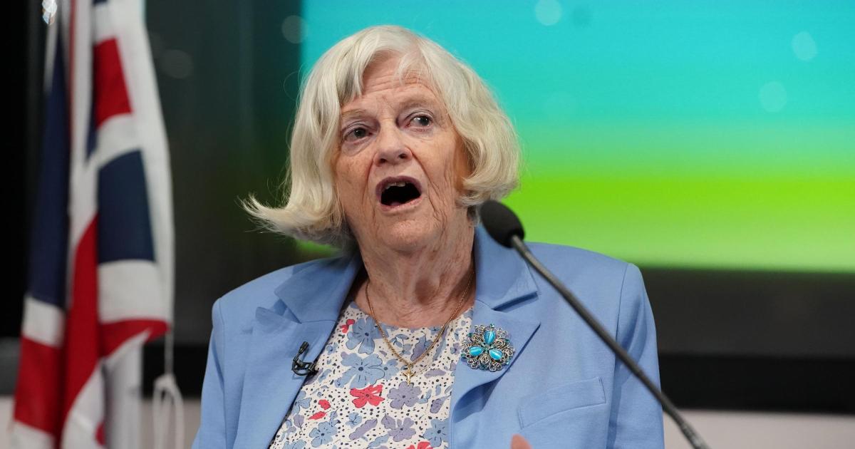 Man arrested for Ann Widdecombe's 'murder' - what we know