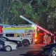 Emergency services called to person stuck in York river