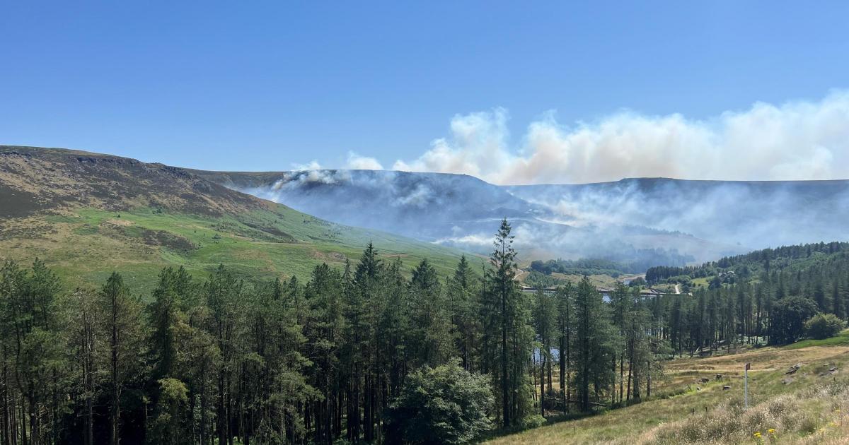 Woman, 20, arrested in relation to Dovestone Reservoir fire