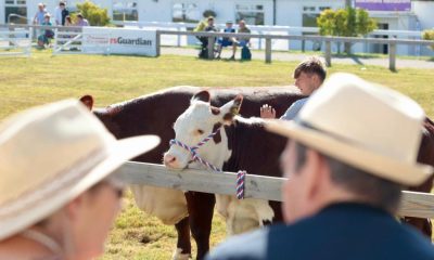 Great Yorkshire Show hears food production investment calls