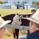 Great Yorkshire Show hears food production investment calls