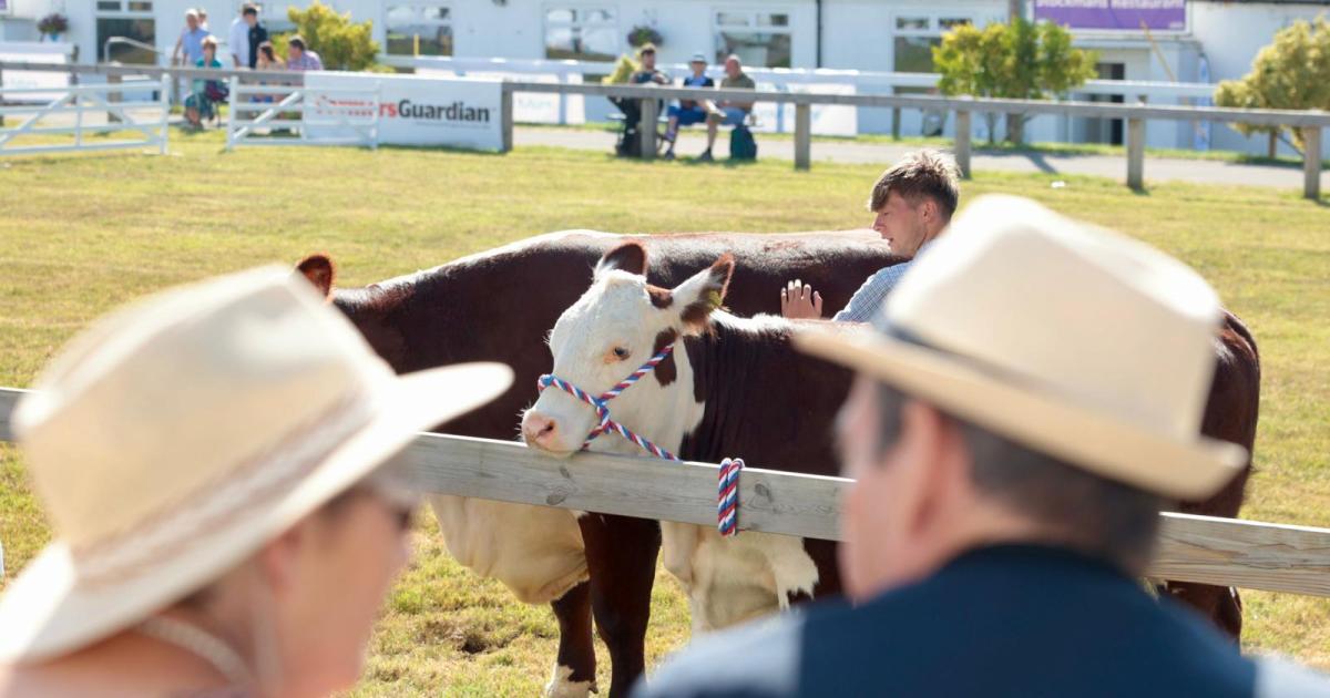 Great Yorkshire Show hears food production investment calls